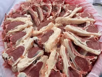 كبش, Blackheaded Persian sheep — الصورة 6