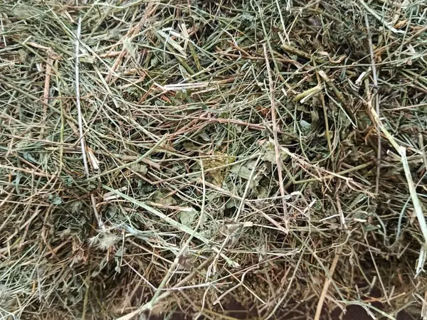 КАСТРА КАСТРА Сено в тюках - Натуральное луговое сено, спрессованное