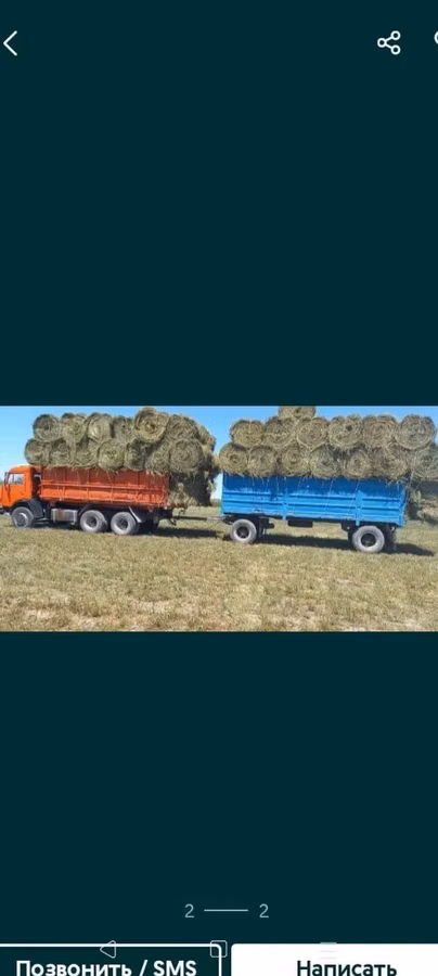 Сено люцерна жоношка свежый укос жоношка сатамын кез келген жерге жетк