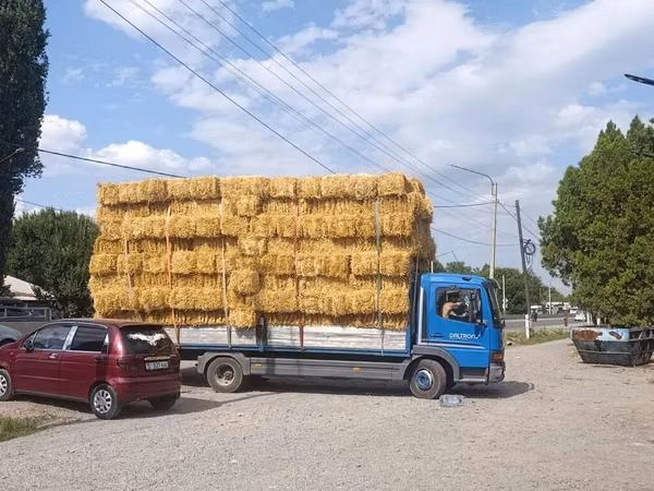 Солома в тюках