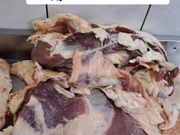 Койдун тóшу — - Состав: мясо с прослойками сала, мягкие пласты