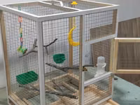 Papuqay,dovşan,hamster,şinşila,bildirçin,cücə,xamyak,pişik,quş,tısbağa — Foto 1