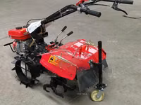 New Multifunctional Walking Tractor Power Tiller Rotary Farm Kenya — 照片 3