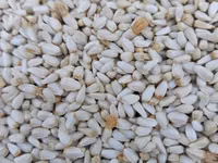 Продаю сафлор — сүрөт 1