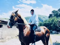 Caballo, Caballos — foto 7