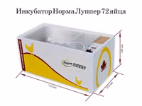 Российский инкубаторлор: Норма луппер 72. Норма парка 120. Норма — 4-rasm