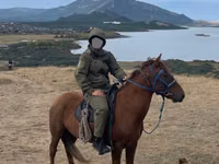 公马, Horses — 照片 2
