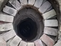 عنزة, الماعز — الصورة 5