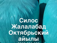 СИЛОС-Жалалабат село Октябрское — сүрөт 1