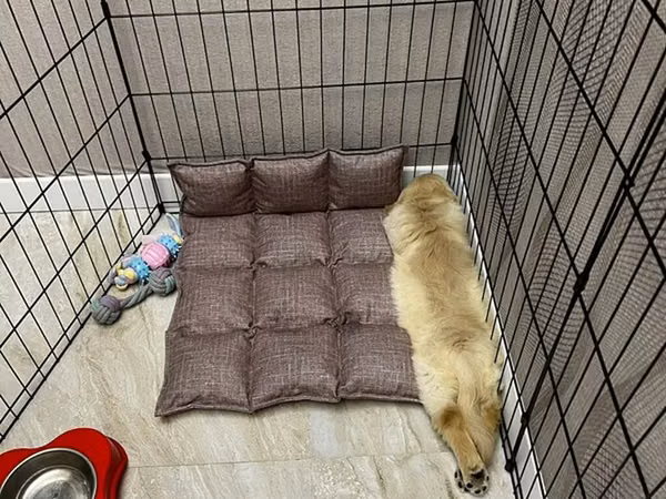 Heyvanlar üçün metal maneqe (playpen) - Material: dayanıqlı qara