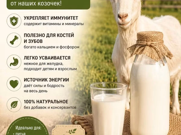 Продаю козье молоко Вкусноежирноеа самое главное лечебное