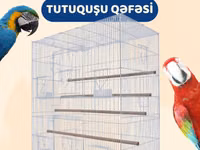 Tutuquşu qəfəsi (valyer) — Foto 1