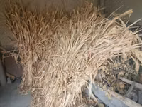 мол ва қӯйларга емиш бор 400 минг — 1-rasm