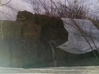 Продам сено в тюках — фото 1