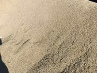 Ячмень (зерно) адрес село СУУСАМЫР - Кормовой ячмень, цельное зерно — 1-rasm