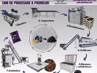 Utilaje de prelucrare a fructelor si legumelor:spalare,calibrare,blansare,uscare..etc — Foto 2