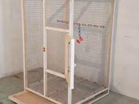 Papuqay,dovşan,hamster,şinşila,bildirçin,cücə,xamyak,pişik,quş,tısbağa — Foto 3