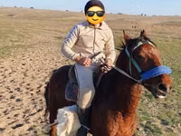Ат, Аттар — сүрөт 3