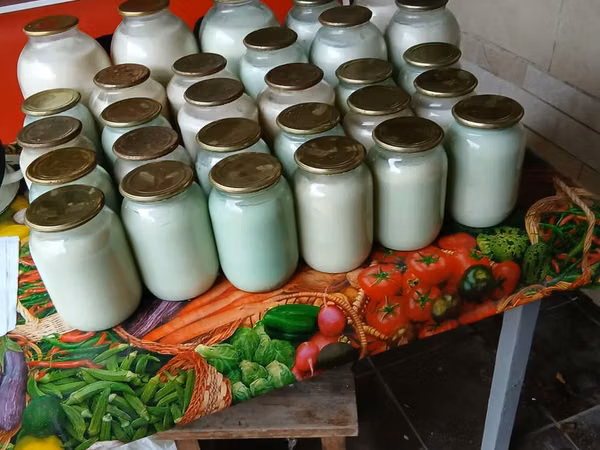 Продам свиной жир