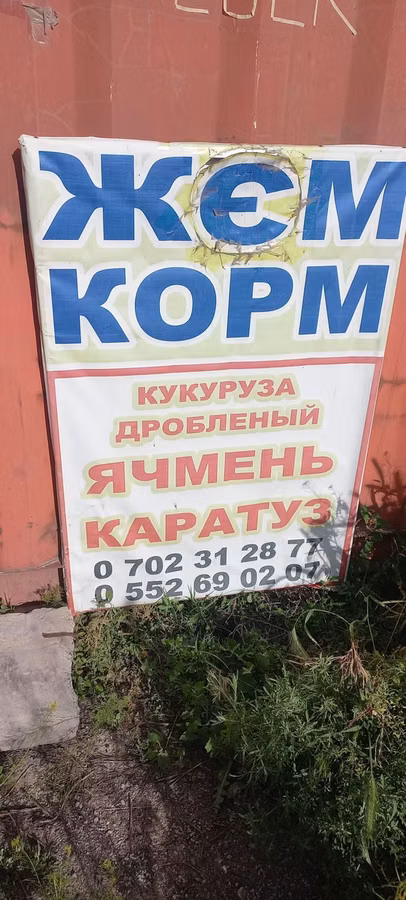 Корм и ингредиенты для сельхозживотных и птицы.ячмен кукуруза пшеница