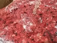 Замороженный мясной фарш Делаю сам Состав: Почки Печень яйца — foto 2