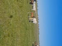 Stute, Kazakh horse — Foto 7