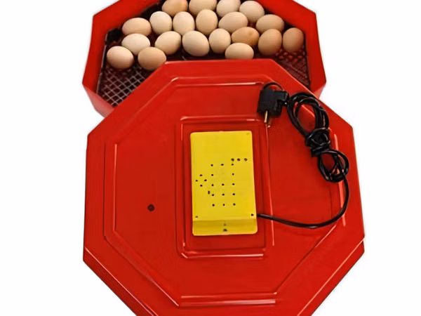 Incubator electric cleo5/inc1 / credit 0% / livrare / garantie 2 ani