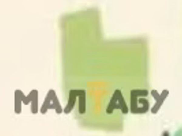 فرس, الخيول — كازاخستان