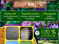 Гарантия качества! Советская технология выращивания и очистки! — 1-rasm