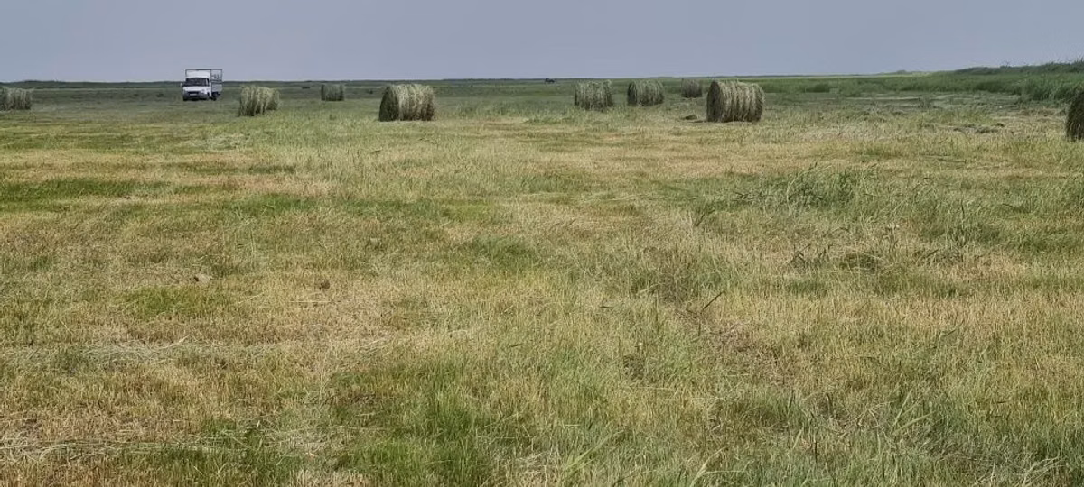 Руллон шоп малга