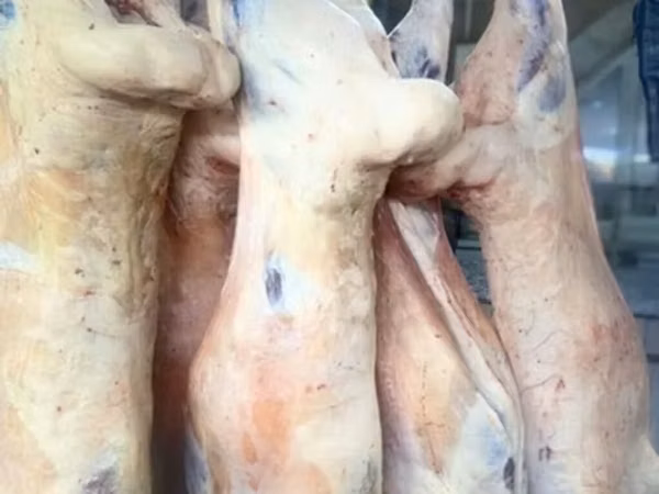 — свежее мясо, произведено в Кыргызстане. Строгий контроль качества