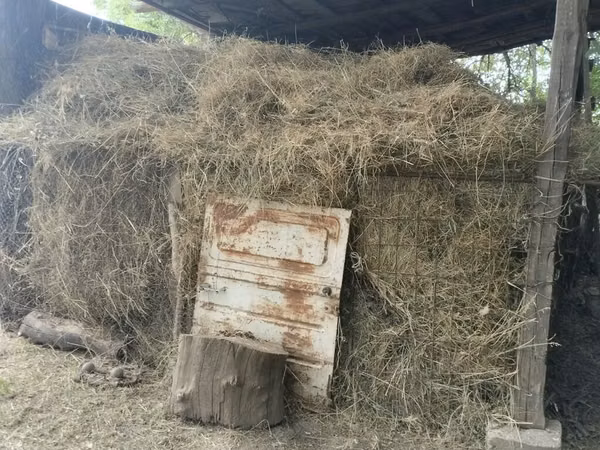 Сено луговое в тюках-навалом под навесом. - Состав: естественные