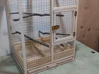 Papuqay,dovşan,hamster,şinşila,bildirçin,cücə,xamyak,pişik,quş,tısbağa — Foto 2
