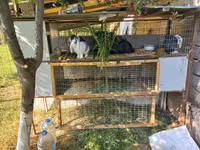 Клетка для кроликов. — Foto 3