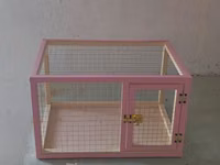 Dovşan,hamster,şinşila,bildirçin,cücə,xamyak,pişik,quş ve s kimi ev — Foto 1