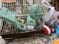 Hamster qəfəsi – tam dəst

15 ədədi qab qaşıg satıram — الصورة 1
