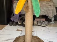 Когтеточка для кошек “Пальма” 🌴🐱 Продается когтеточка в хорошем — сүрөт 1