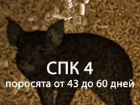 Комбикорм для ИНДЮКОВ "ФИНИШ" (от 45 дней) — फ़ोटो 5