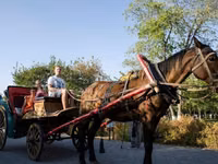Caballo, Caballos — foto 2