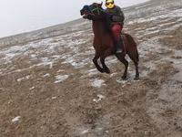 Ат, Аттар — сүрөт 2