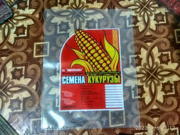 , Ассалому Алейкум Кыргыз элим,,,,,,,,,,, Жугору, Жугору урук сорт