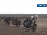 Жылқылар (топ, жынысы көрсетілмеген), Жылқылар — 4-сурет