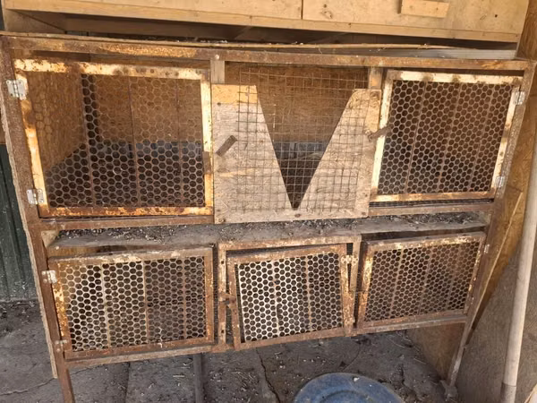 Многоярусная клеточная батарея для птицы/кроликов - Конструкция на