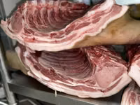 СВИНИНА

猪肉。家养猪肉，非常美味。每天都有新鲜猪肉供应。

现有以下部位：
	•	后腿肉
	•	前腿肉
	•	猪排和排骨
	•	五 — foto 4