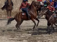 Caballo, Akhal-Teke — foto 3