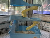 Hamster və balaca gəmiricilər üçün qəfəs - Rəng: açıq mavi plastik — сүрөт 2