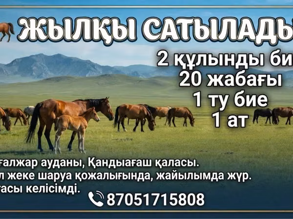 فرس, Kazakh horse — كازاخستان