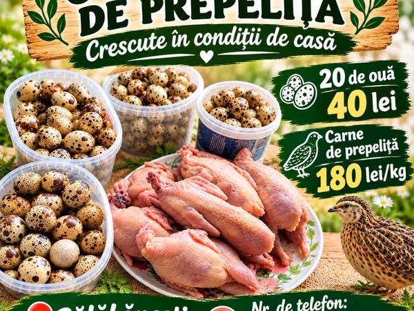 Carne de prepeliță și ouă