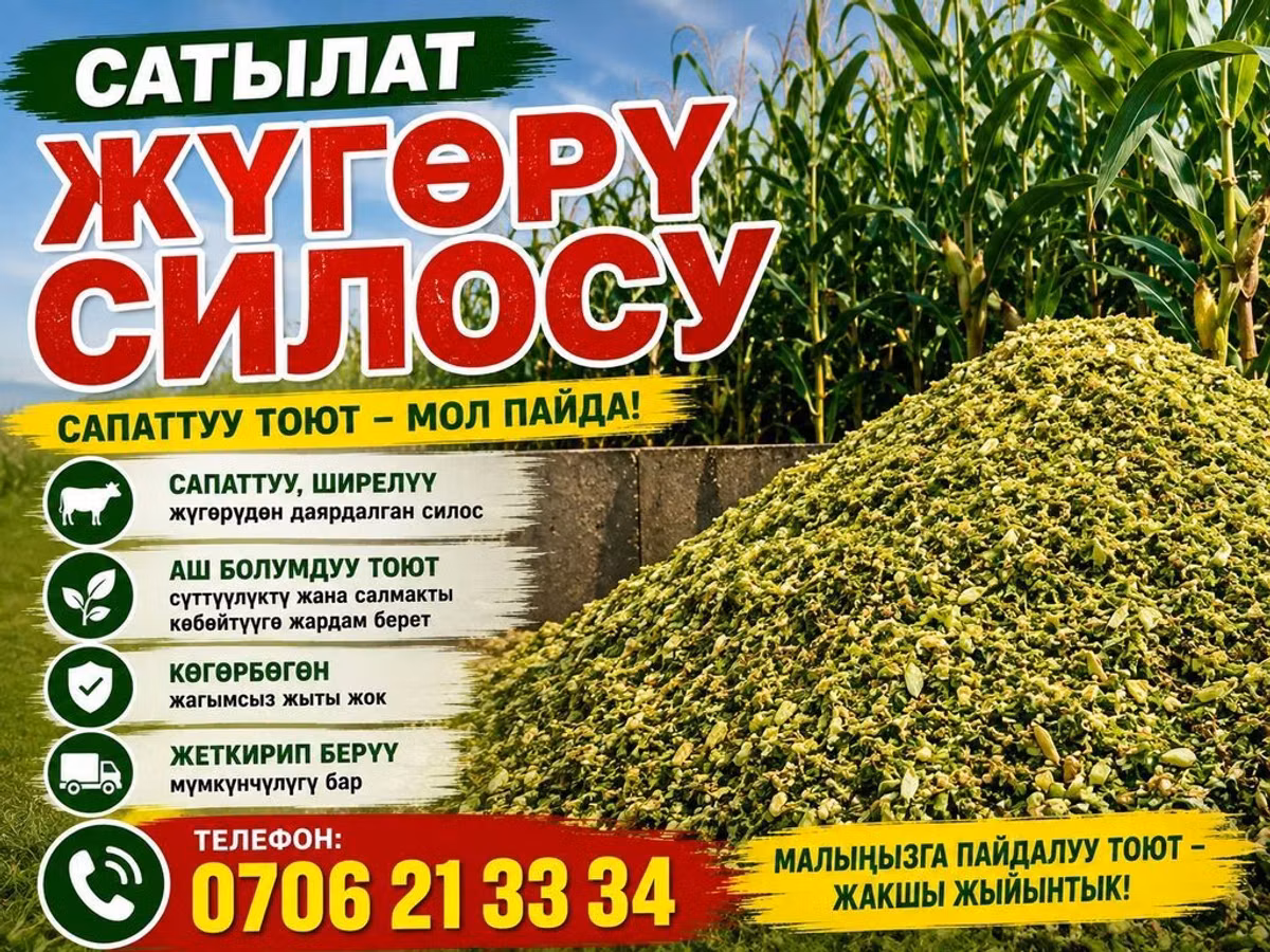 Срочно продаю силос Кара Балта 
тел