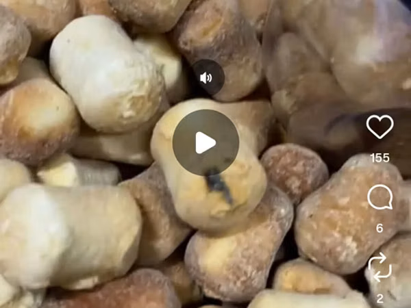 Копчёный курт алам жегенге Кобуроок Канча сом болот